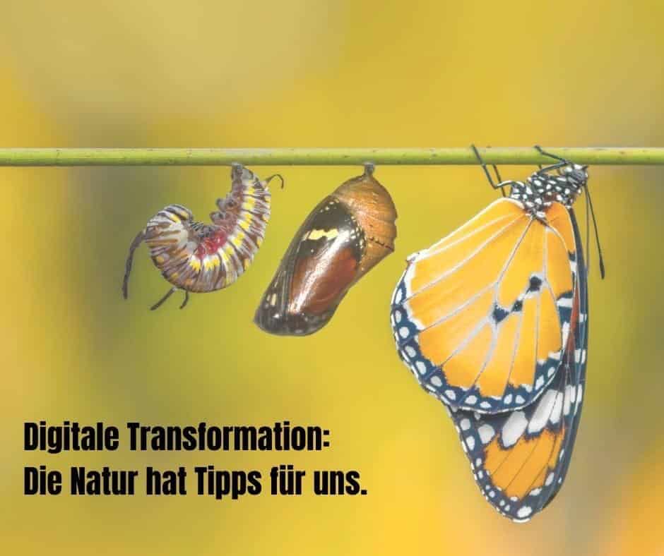 Digitale Transformation