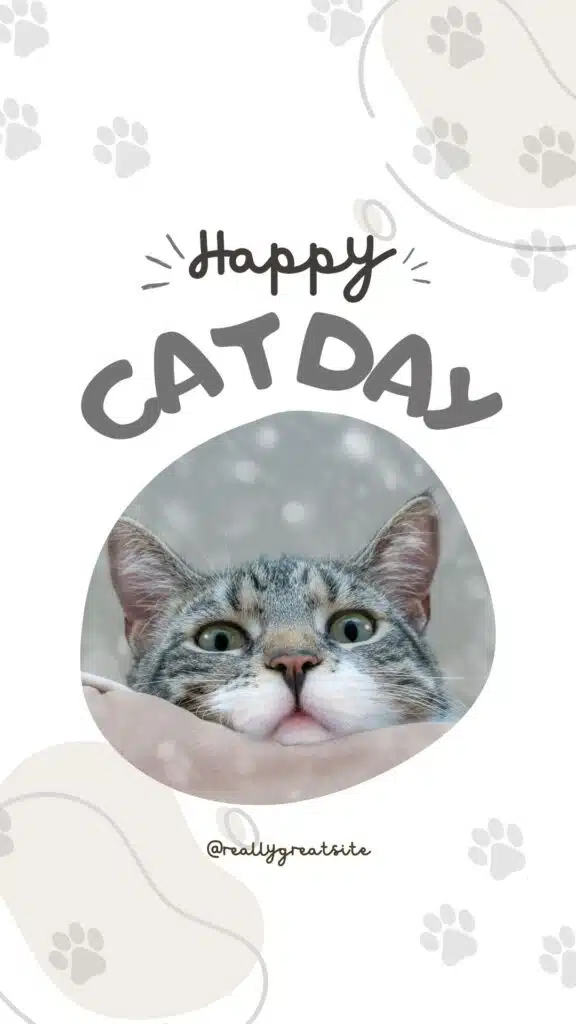 Happy Cat day