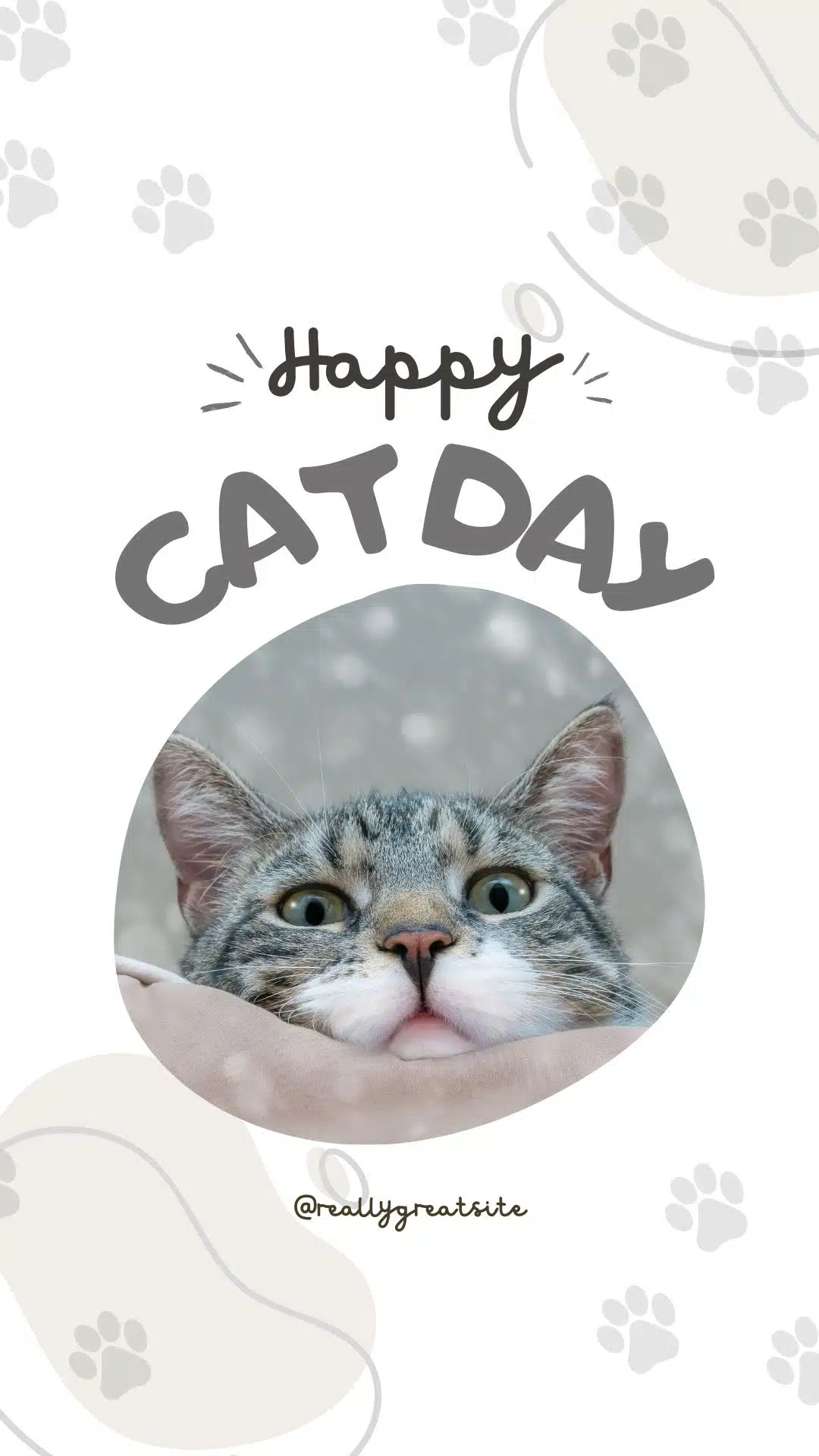 Happy Cat day
