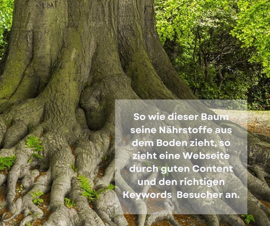 Baum, dessen Wurzeln in die Erde ragen. Sie sollen die verschiedenen Keywords darstellen.