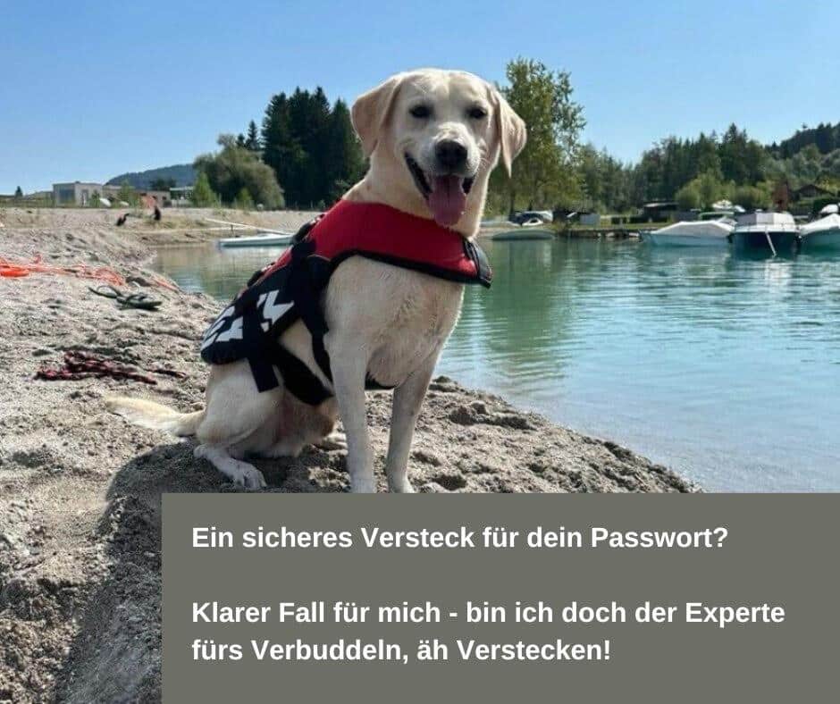 Hund Passwortsuche