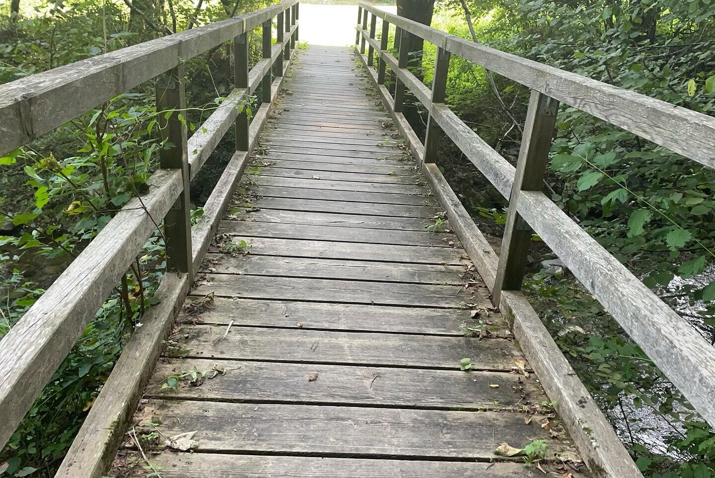 a wooden bridge with railings and trees